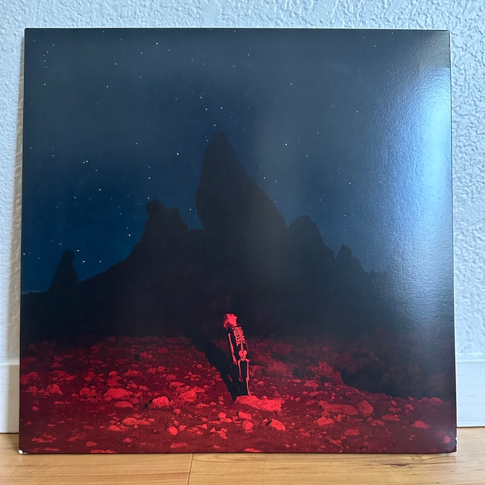 Phoebe Bridgers punisher vinyl